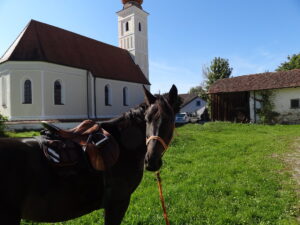 Ritt in den Herbst 2013