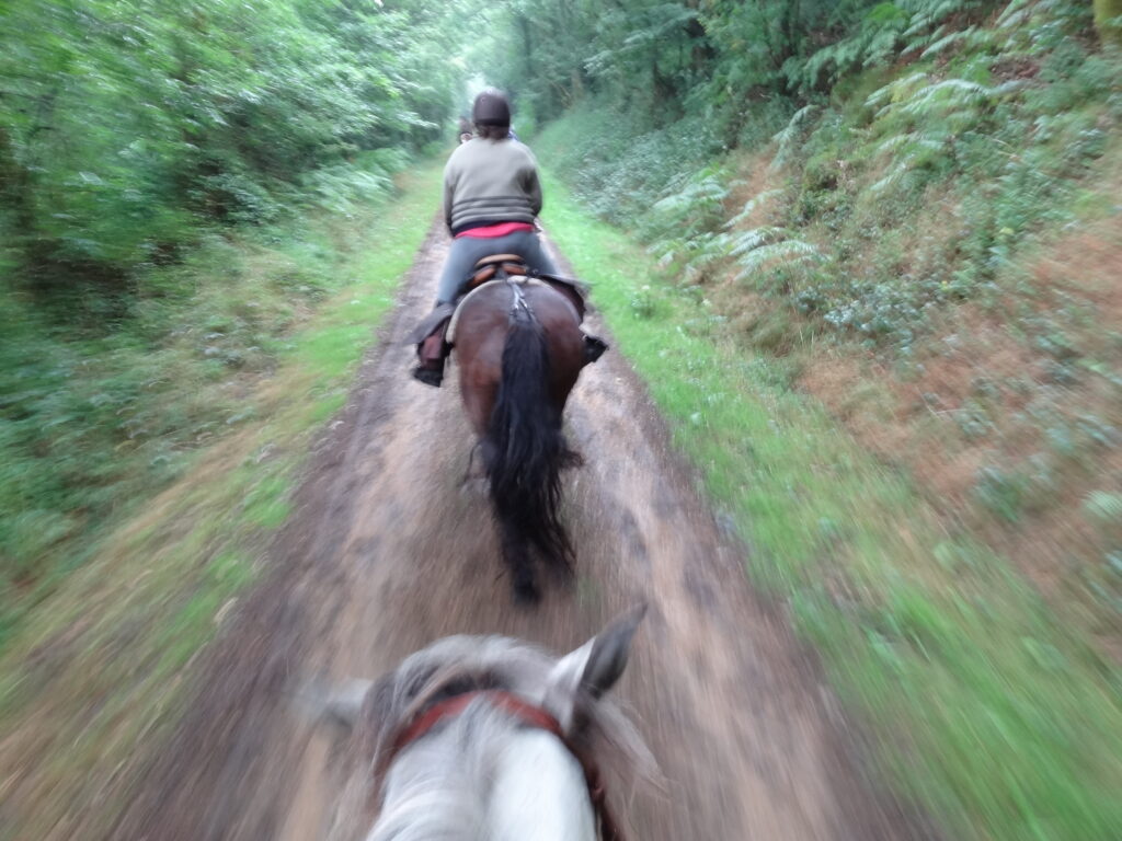 Bretagne fullspeed