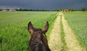 Herr K vor der Gewitterfront