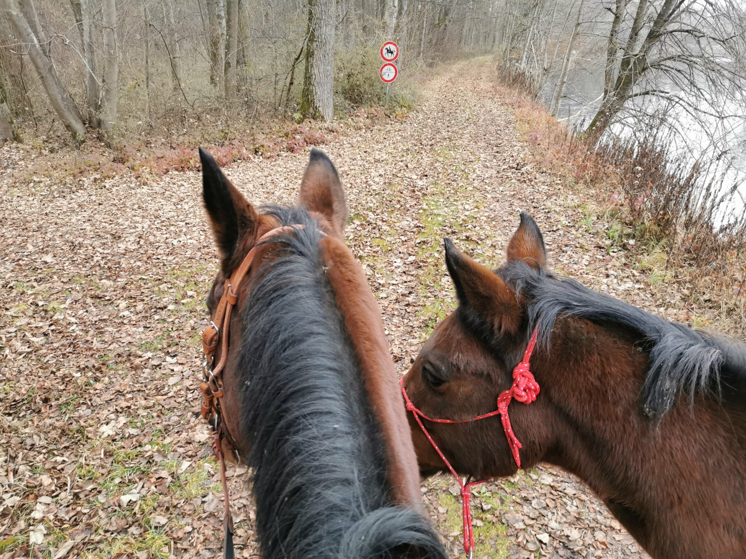 Kurze Besprechung